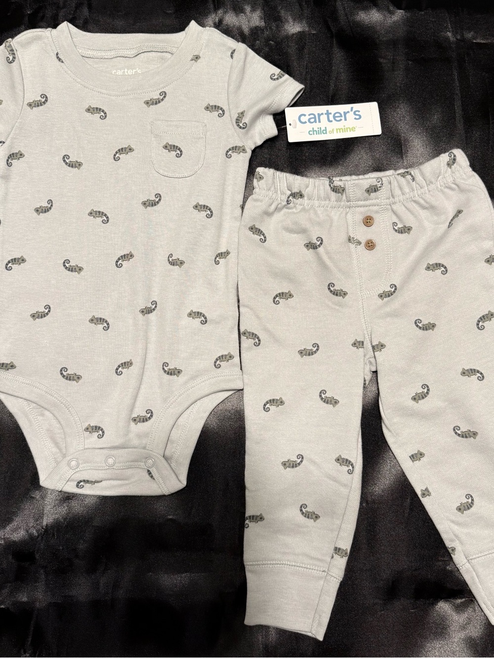 Carter's Light Green Onesie and Pants Set with Chameleon Print-Size 12M